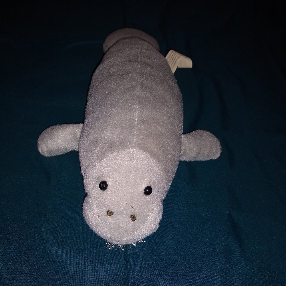 Grey Manatee